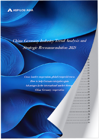 in-depth industry insights on Sino-German cross-border cooperation, including detailed market analysis, technological innovation, and strategic paths to success.